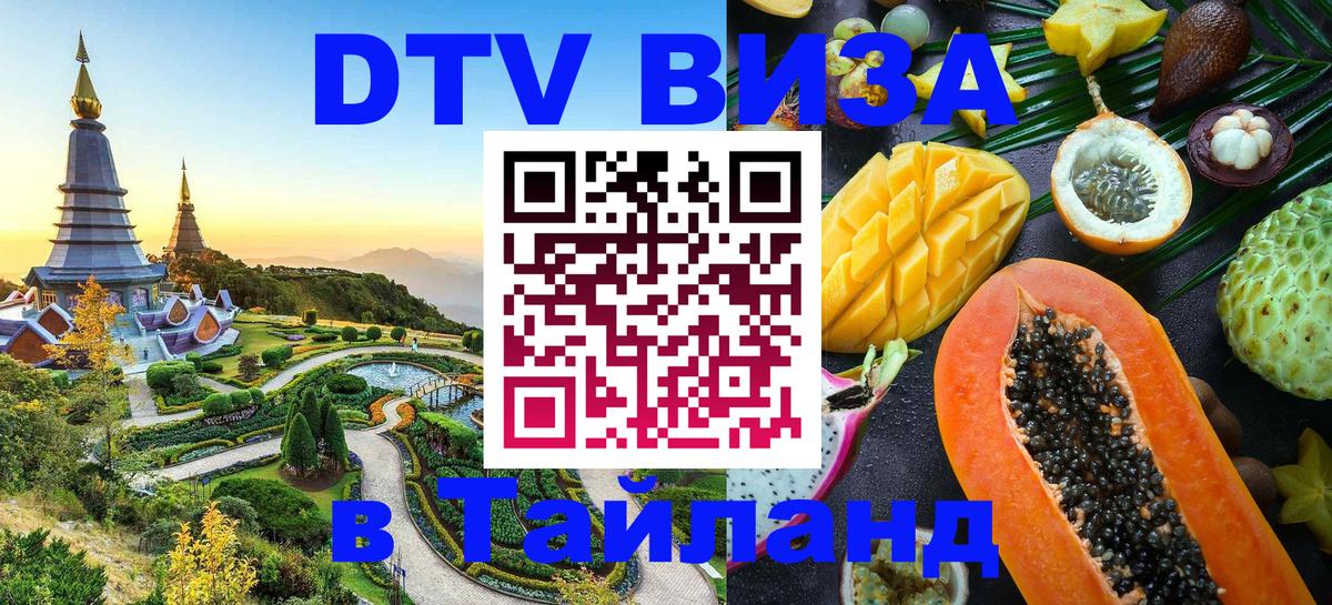 Оформление DTV визы под ключ: стоимость и тарифы, только загранпаспорт - Новочеркасск  20.11.2025 